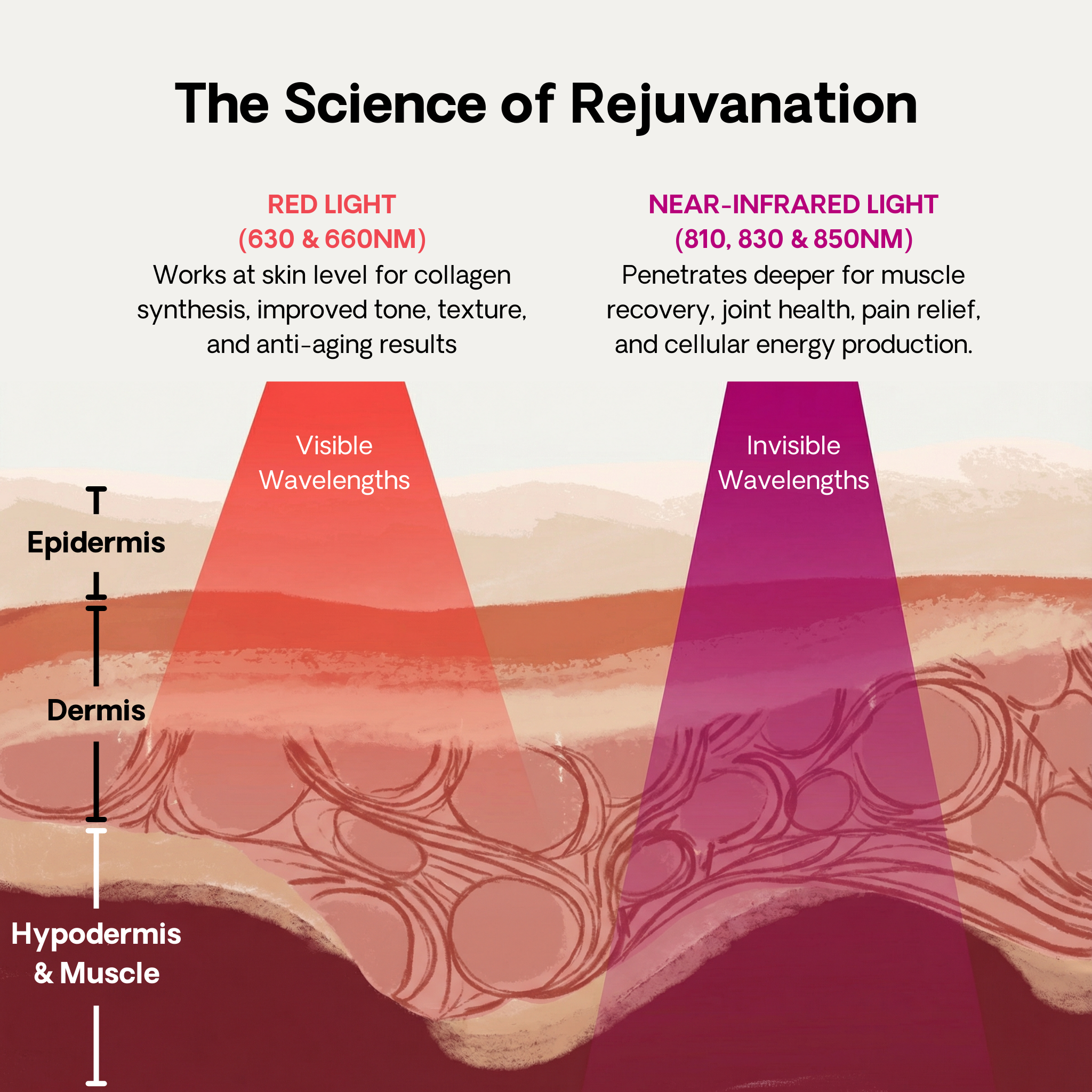 Spectrum SUPREME Panel 2.0